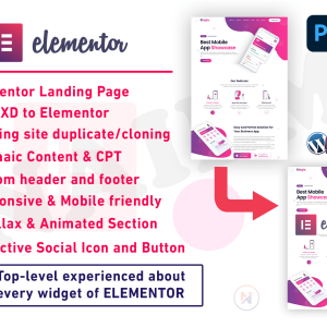 Elementor Page Builder