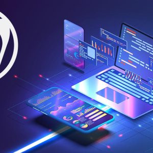 Wordpress Customization